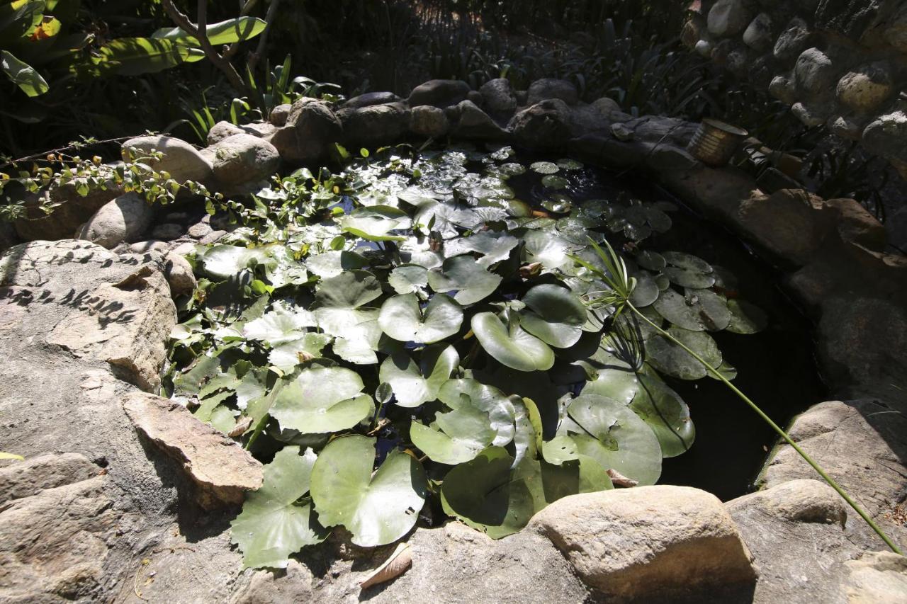 Huayapam Yu'U Lodge San Andrés Huayapan 외부 사진