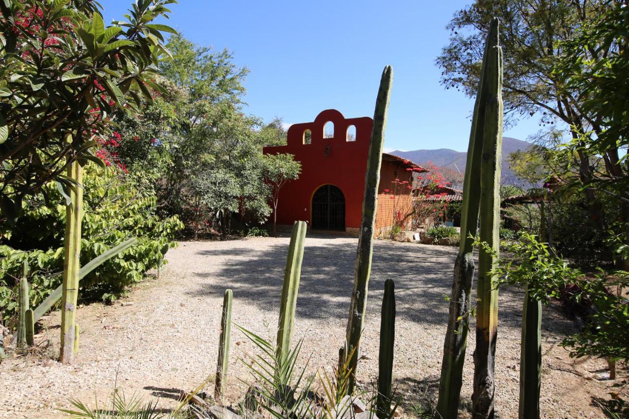 Huayapam Yu'U Lodge San Andrés Huayapan 외부 사진