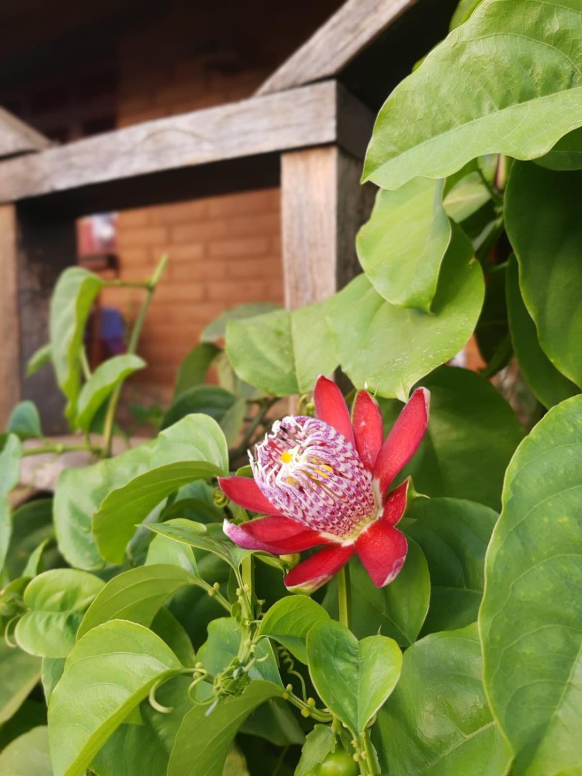 Huayapam Yu'U Lodge San Andrés Huayapan 외부 사진