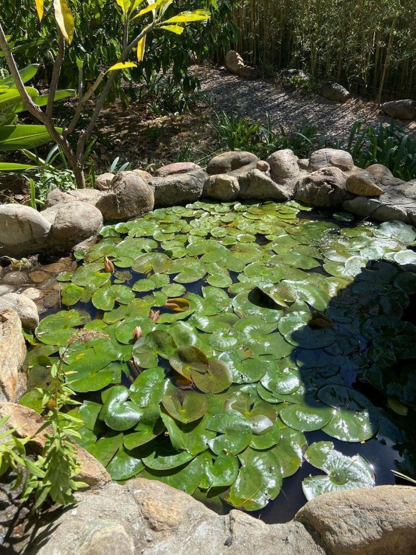 Huayapam Yu'U Lodge San Andrés Huayapan 외부 사진